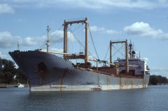 Thumbnail Image for Dragomiresti